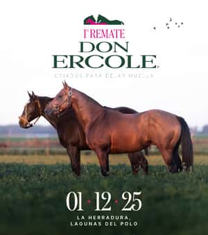 1ER REMATE DON ERCOLE