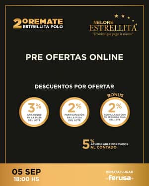 Remate Estrellita Polo
