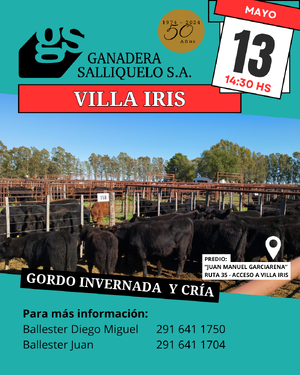 Villa Iris