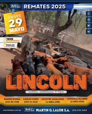 Lincoln (Mayo 25´)