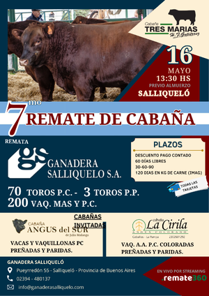 Remate Tres Marías