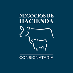 CAMPOS Y GANADOS SA - NEGOCIOS DE HACIENDA FAENA