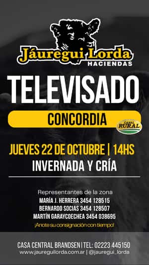 Remate televisado