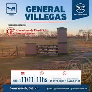 Feria en Gral. Villegas