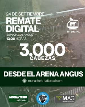 Remate Digital ANGUS