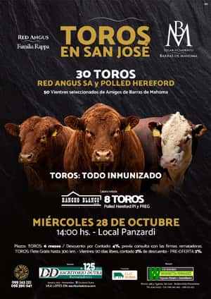 6º Toros en San Jose - Barras de Mahoma