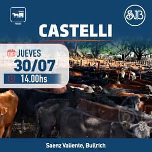 Feria en Castelli