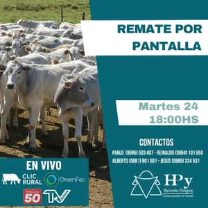 Remate Por Patanlla