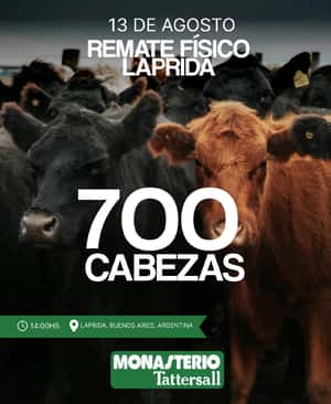 Remate Físico Laprida