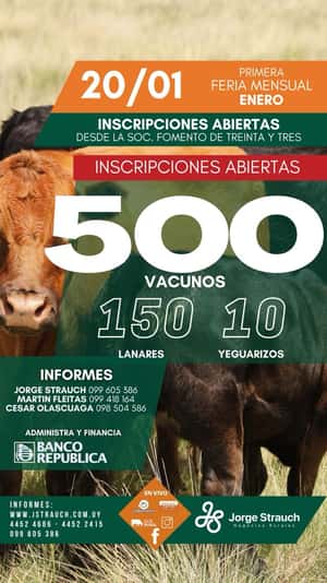 Feria Mensual - Jorge Strauch