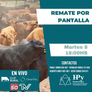 Remate por Pantalla