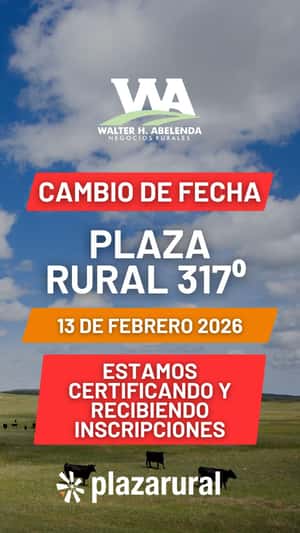317º remate Plaza Rural