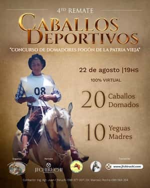 4º  Remate  Caballos Deportivos