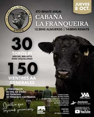 Cabaña La Franqueira