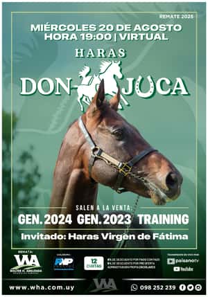 Haras Don Juca