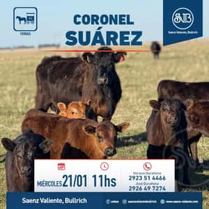 Feria en Cnel. Suárez