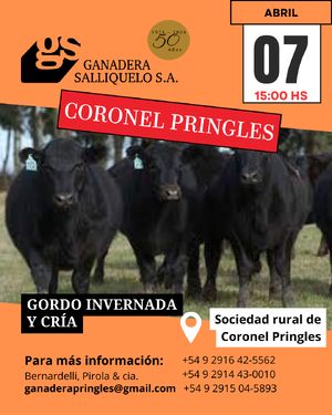 Remate Gordo, Invernada y Cría en Coronel Pringles