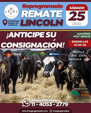 Remate Lincoln / FCO