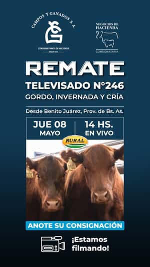 246° REMATE POR PANTALLA