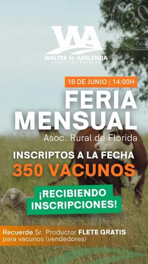 Feria mensual