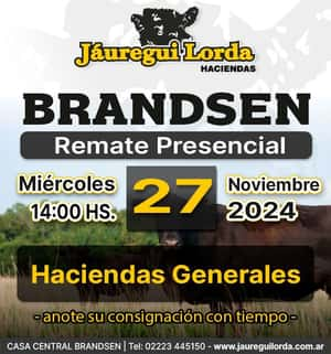 Remate en Brandsen, Miércoles 27 de Noviembre