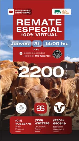 REMATE ESPECIAL (VIRTUAL) 