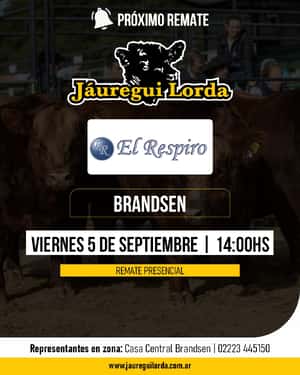 05 de Septiembre - Brandsen