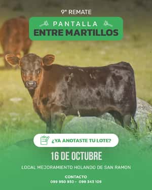 9° Entre Martillos