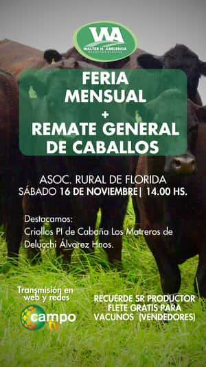 Feria Mensual 