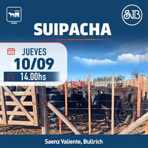 Feria en Suipacha
