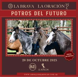 Potros Del Futuro