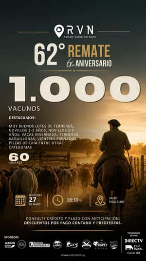62º Remate Virtual del Norte