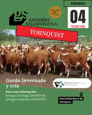 Gordo, Invernada y Cría