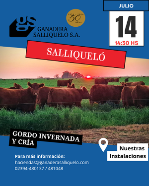 REMATE FERIA EN SALLIQUELÓ