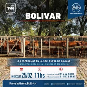 Feria en Bolívar