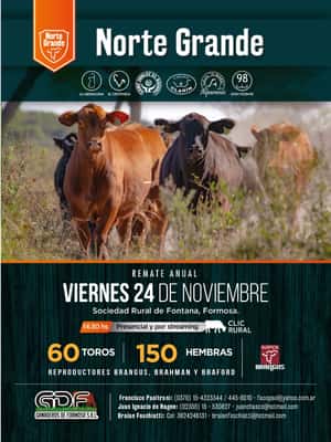 Remate Anual Norte Grande