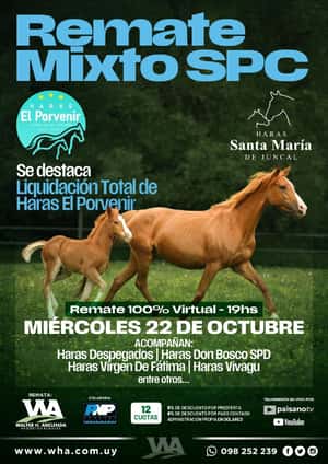 Remate Mixto SPC