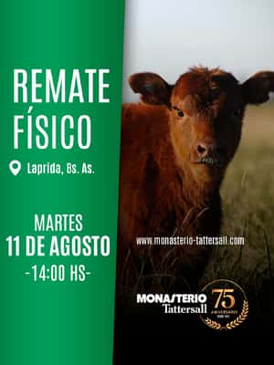 Fisico Laprida