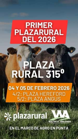 315º remate Plaza Rural