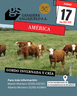 Remate Gordo, Invernada y Cría en América