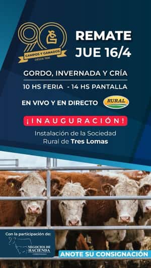 257° REMATE POR PANTALLA "90° ANIVERSARIO" DESDE TRES LOMAS