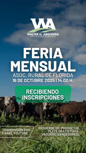 Feria Mensual