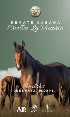 La Victoria - Hembras