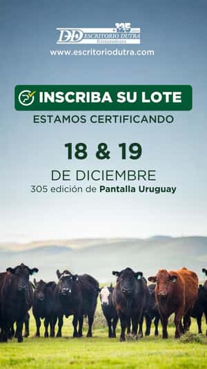 305º remate Pantalla Uruguay