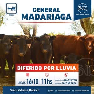 Feria en Gral. Madariaga
