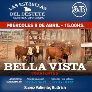 Las Estrellas del Destete - Bella Vista (Corrientes)