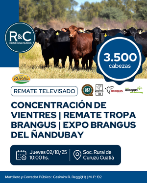Concentración de vientres, Remate tropa Brangus,  Expo Brangus del Ñandubay