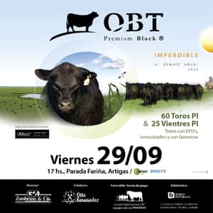 OBT Premium Black 2023