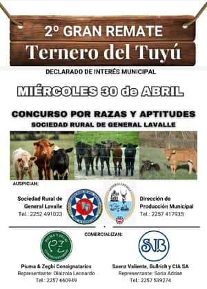 Terneros del Tuyú