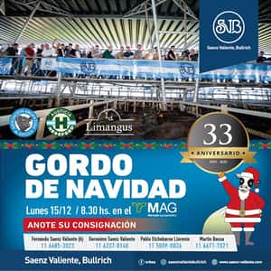 33° Gordo de Navidad